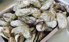 MD豆传媒一二三区进站口在线